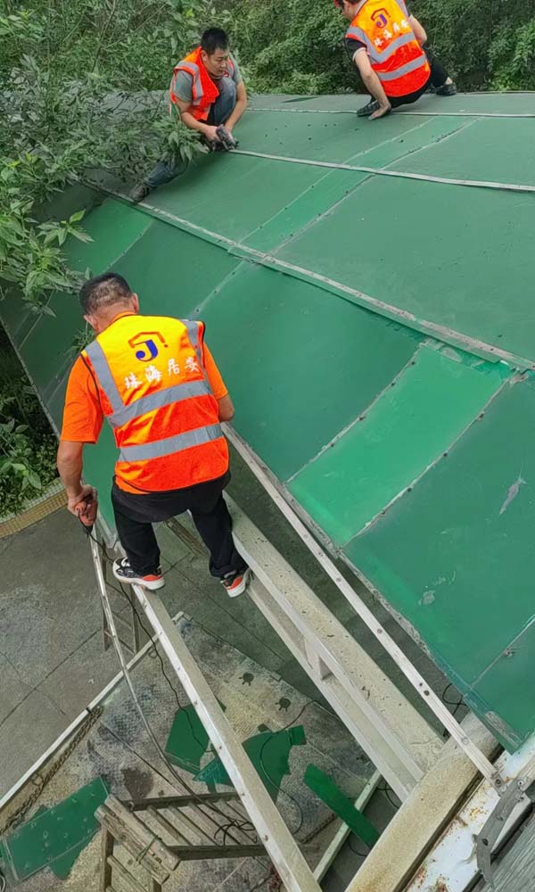 �麣�����o(j��)�W(xu��)У�(y��ng)����S��